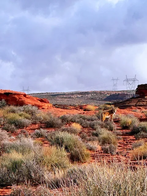 A Heavenly River at the Bottom of Antelope Canyon 🌟