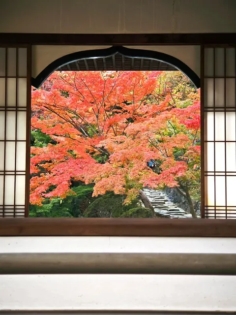 Wakayama Castle 🍁