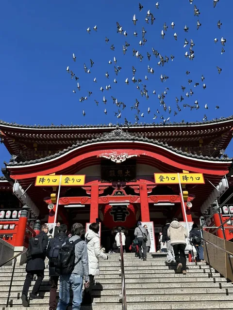 Nagoya Hidden Gem City Walk 🌇