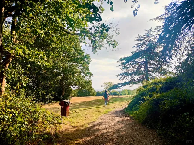 East London Can Also Encounter Deer🦌 A Beautiful Lesser-Known Forest Park