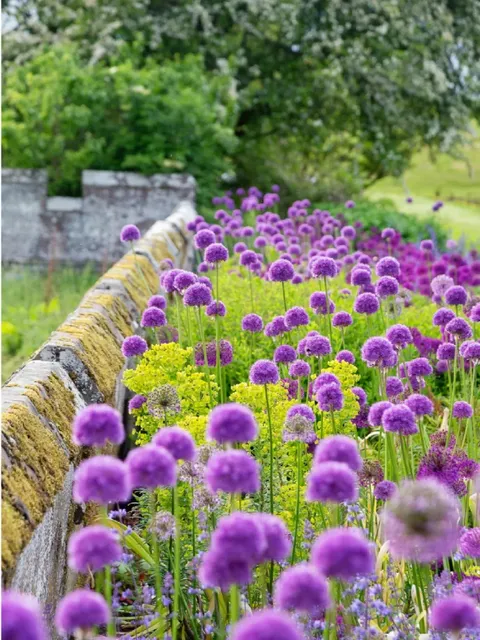 Last Call! Floral Journey | Royal Botanic Garden Edinburgh Tour 🌸🌿