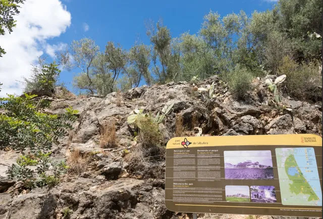Feel the greenery of Valencia and swim in the Albufera Natural Park