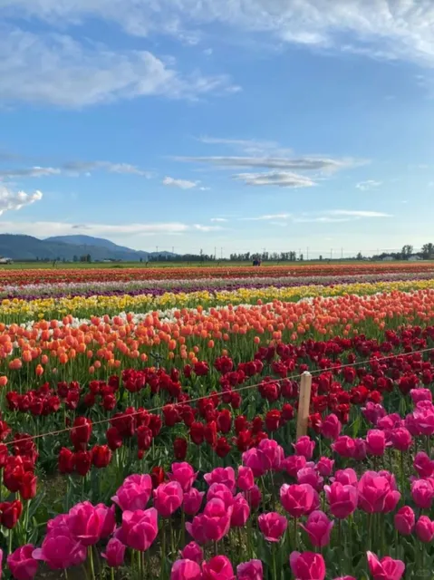 🌸 Real-Life Monet Garden! Exploring Vancouver’s Hidden Spring Gems 🌿