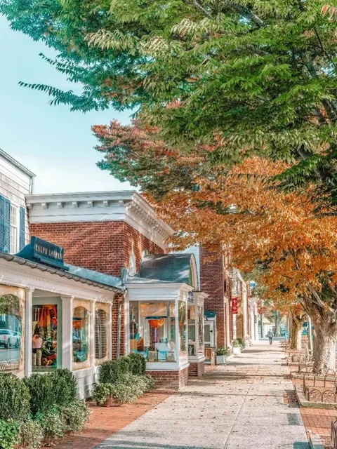 🇬🇧 The Ultimate Hamptons Guide: How to Play Like a Pro! 🌊✨