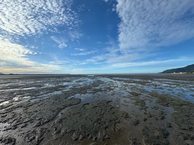 🇦🇺 Cairns Solo Trip Diary ｜ Travel Tips & Must-Knows ✨