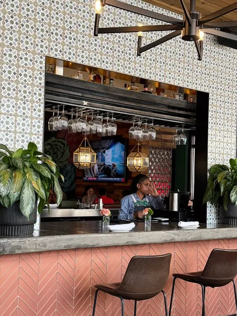 Dallas: 🌟 Wild Salsa