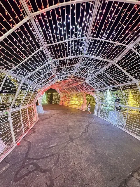  Eager for Christmas? Let’s Go! 