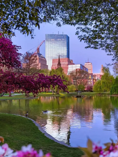 🇺🇸 I used to think US travel was boring… until I visited Boston!