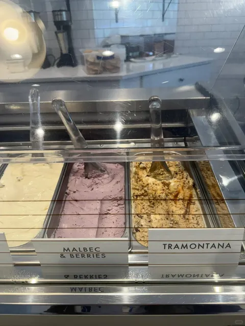 Chicago｜Incredible Italian Gelato — FRÍO Gelato 🍨