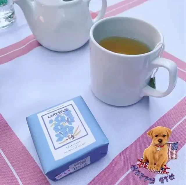 Chicago Summer｜Tavern on Rush Flashback 🍰🫐