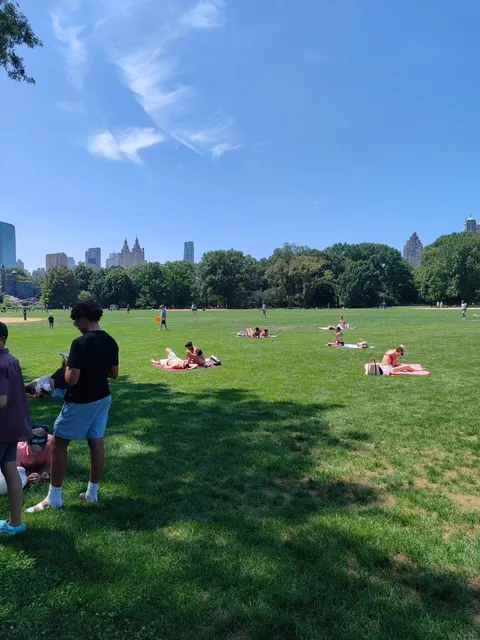 New York Central Park (2)🌳✨