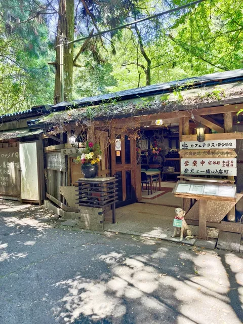 🌸 Inunaki Mountain is absolutely a summer retreat🌺