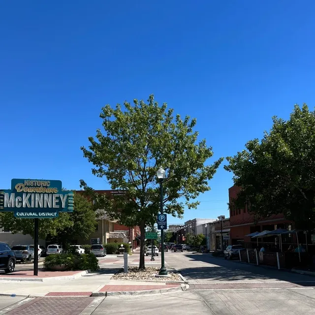🌿 Habitat Plants + Coffee｜A Healing Space Where Plants and Coffee 