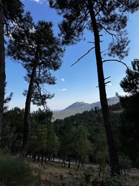 Madrid Surroundings | El Escorial Escape Plan