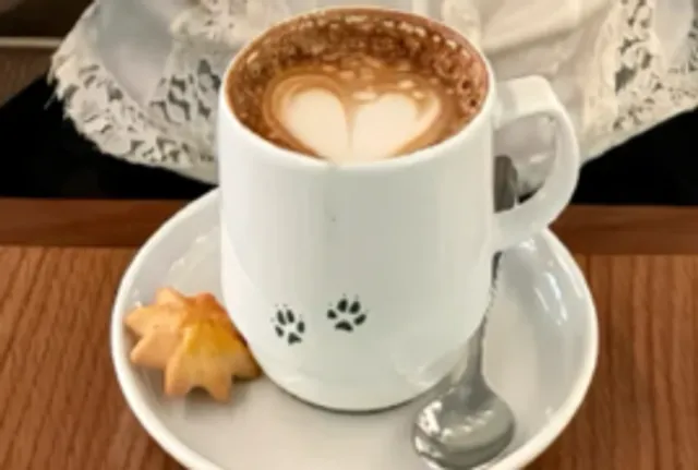 🔥 Vancouver Brunch Gem: Osteria Elio Volpe 