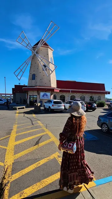 🌸 A Sweet & Floral Day Trip to Red Deer, Alberta! 🌸