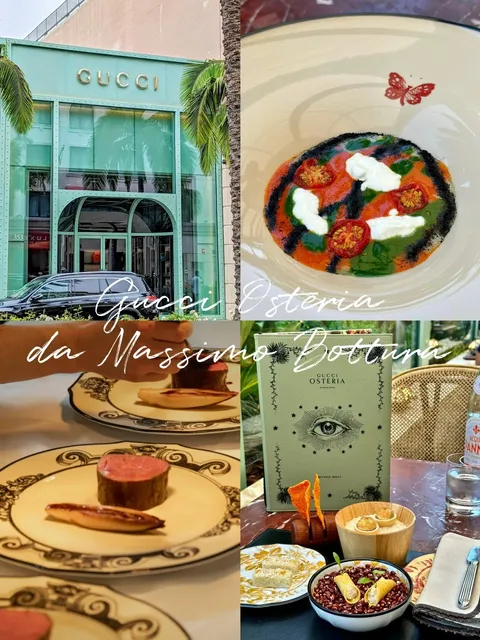 Michelin Star Hunting Diary