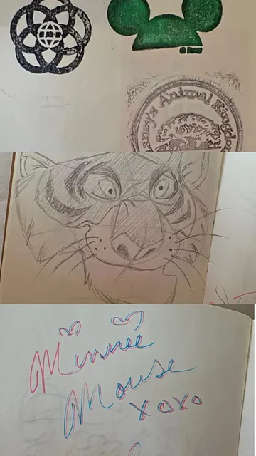 Orlando Disney 4 Days 4 Parks Guide 🎢✨