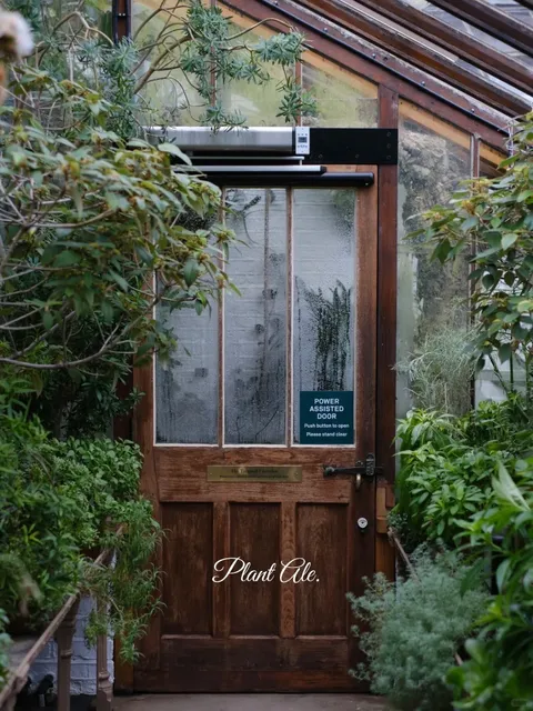 Chelsea Physic Garden in London 🌿