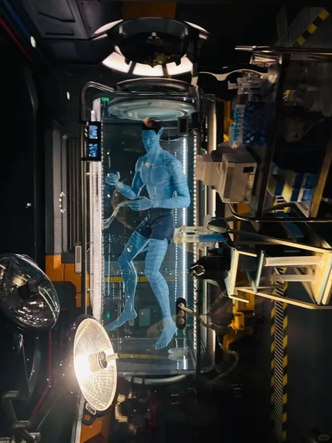 Orlando Travel Notes