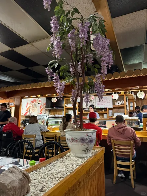 🍣 Tucson Food Review  – Shogun Restaurant 🍱