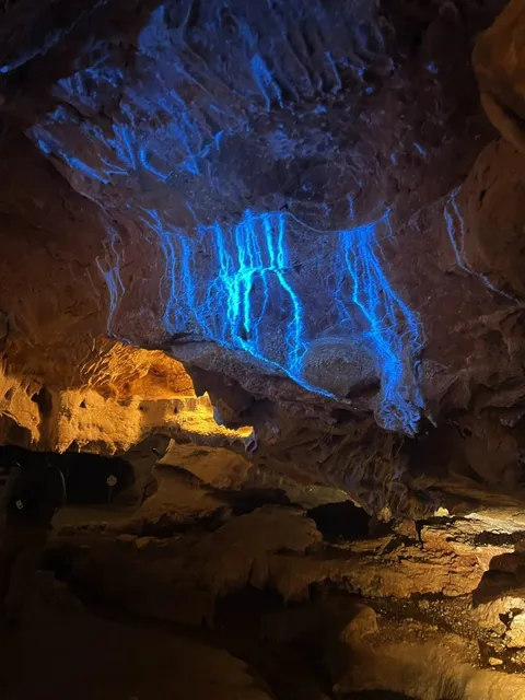 Austin Family-Friendly 3-Day Itinerary: Perfect for All Ages! 