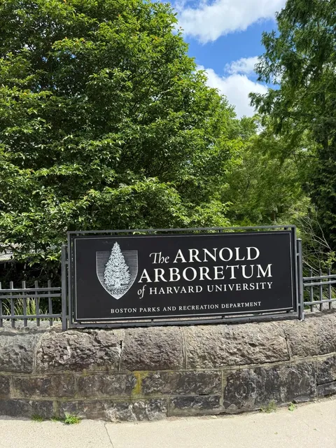 🌸 Arnold Arboretum – Boston’s Secret Flower Paradise! 🌳  
