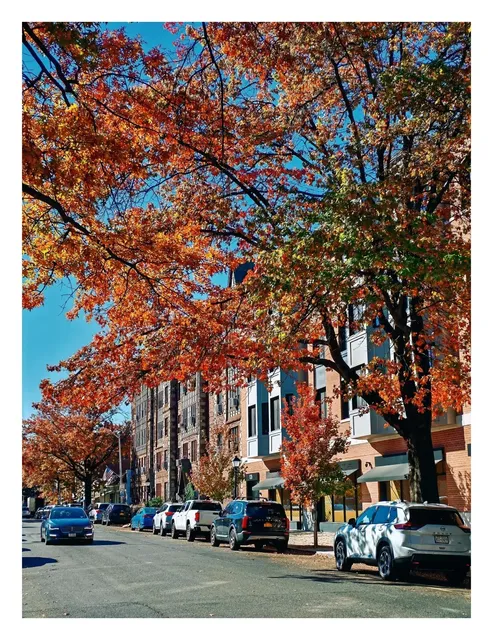📘 NYC Diary: A Golden Autumn Day in Pelham