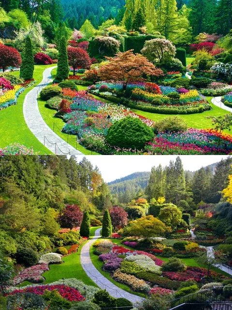 🌸 From Quarry to Wonderland: Canada's Butchart Gardens 🌸
