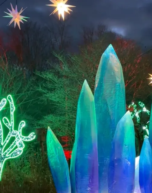 Dazzling Nights at Pittsburgh Botanic Garden ✨🌲