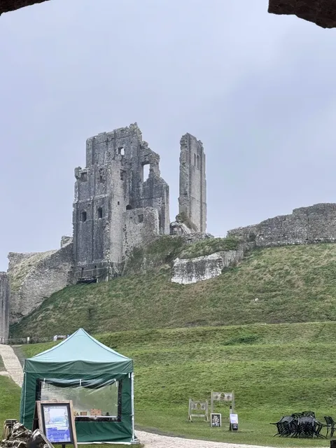 Bournemouth & Jurassic Coast Day Trip Guide