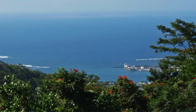 Explore Apia in One Day: Ultimate Treasure Hunt! 🥳