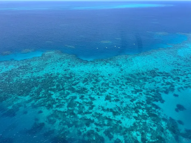 🇦🇺 Cairns Getaway: Ultimate Chill & Reef Experience