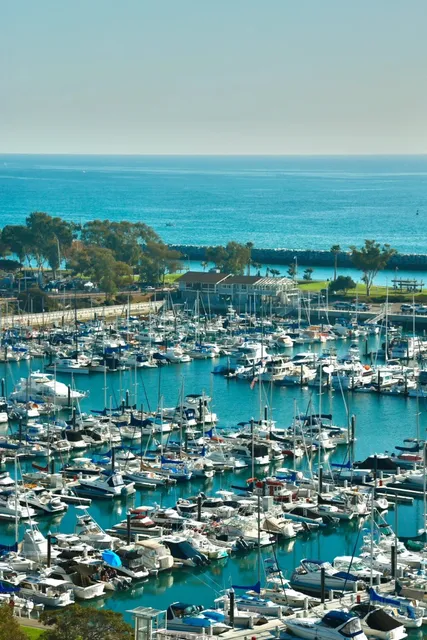 You Can Always Trust the California Coast 🌊🌻