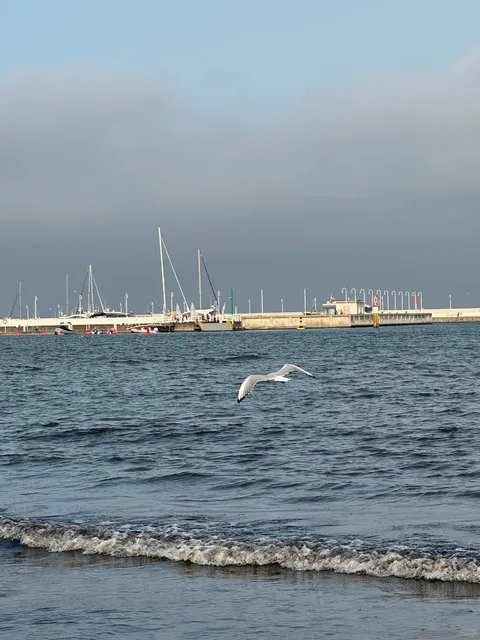 Poland 🇵🇱 Gdańsk | Sopot Beach Escape