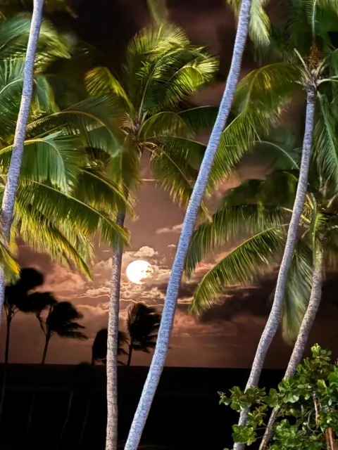 Iconic Hawaii ~ Make It Happen! 🏝️✨