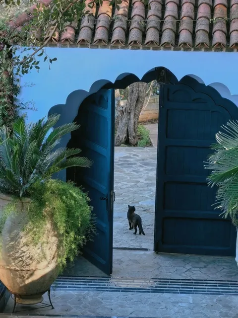 Chefchaouen: The Blue Town and Its Feline Companions 🏙️🐱💙