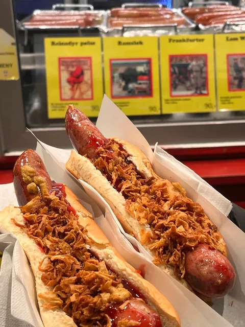 Work in Norway 🌭 Reindeer Hot Dogs and Stunning Night Views