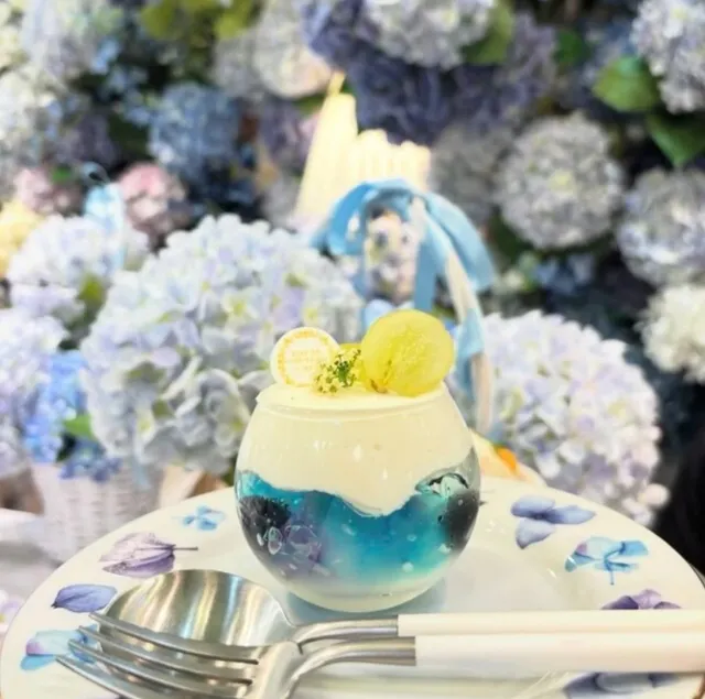 🌸 Afternoon Tea Surrounded by Hydrangeas (2)🌿