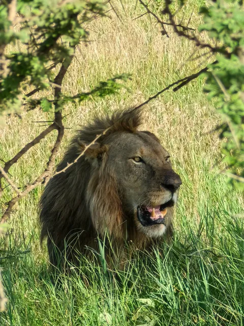 🇹🇿 Tanzania 10-Day Safari & Island Dream Combo! (+Hidden Route)