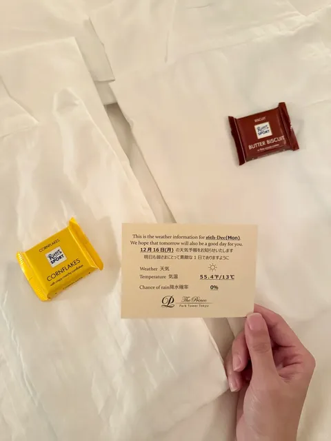 The Ultimate Hotel for Views of Tokyo Tower 🗼 and Mount Fuji (2)