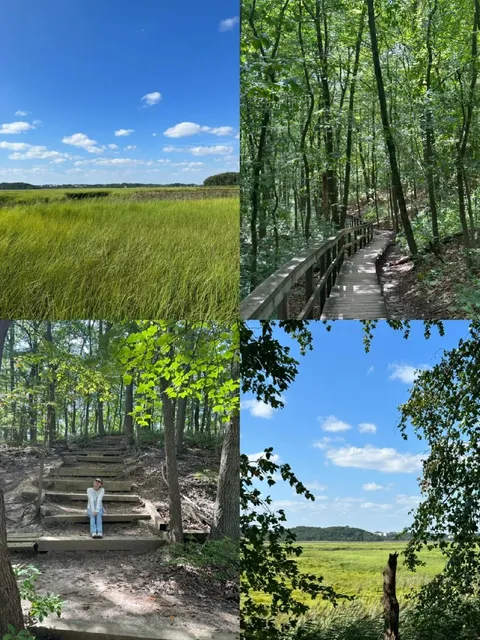  The Most Beautiful Trail I Hiked This Year, Through the Forest 🌲