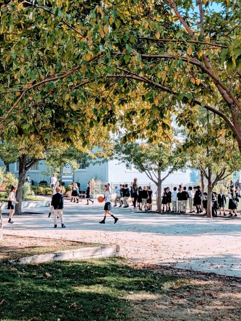 🇺🇸 How “City” Is Salt Lake City, Really? 🏙️❓