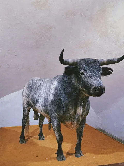 🇪🇸 Plaza de Toros de Sevilla - The Soul of Spanish Bullfighting