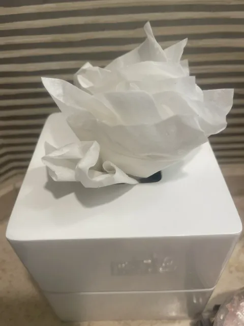 Great friendly staff