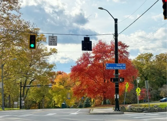 Autumn Magic in Pittsburgh's Schenley Park 🍂✨