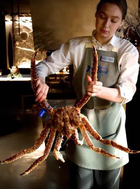  Vladivostok King Crab Guide | Red Flags & Hidden Gems