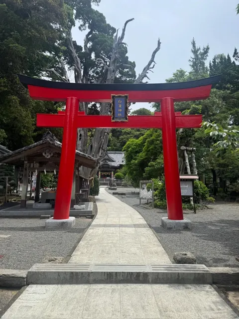 Izu Shirahama Shrine(1)