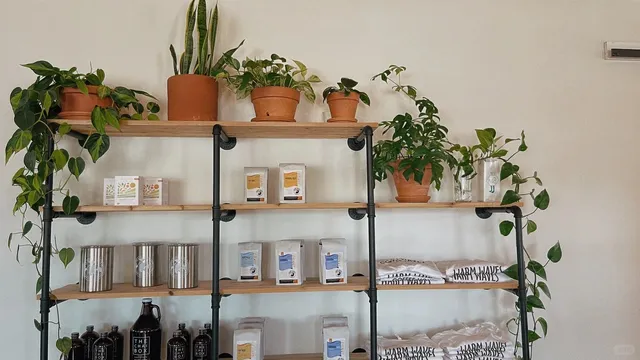 Atl | Modern Cafe & Sweet Treats in Alpharetta ☕️🍦