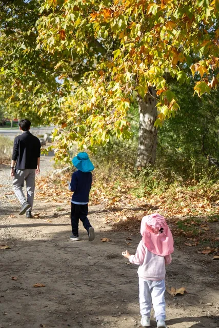 Chino Creek Wetlands and Educational Park